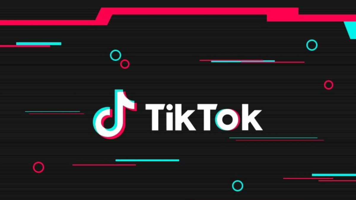 Tiktok Viral Fight Challenge Accepted By Laika Studios Here S
