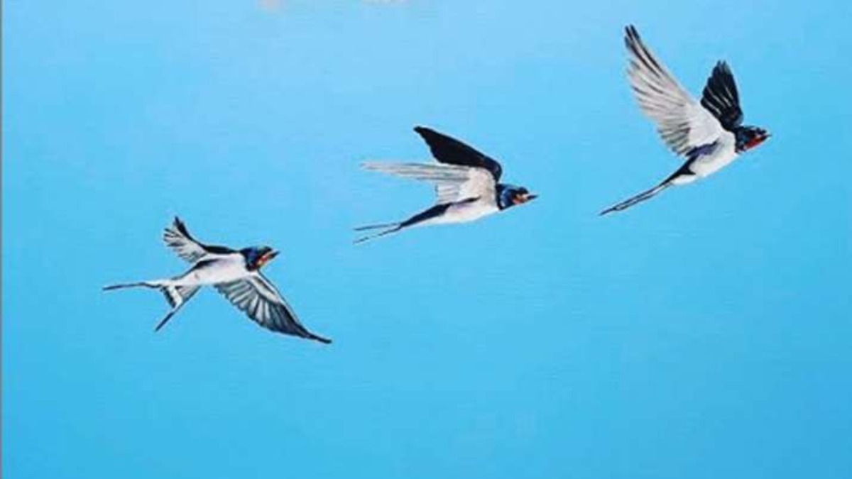 Vastu Tips: Picture of flying birds in the house increases ...
