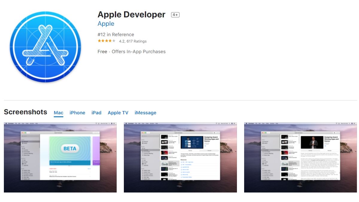 Apple developer