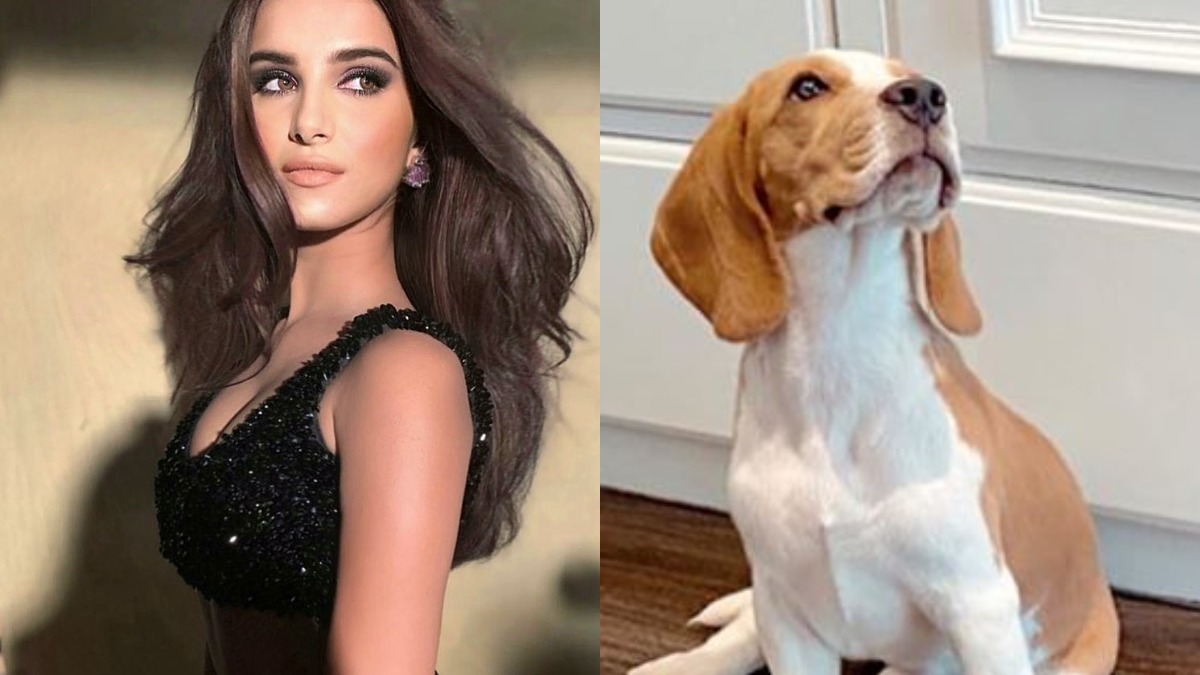 Tara Sutaria and sister Pia welcome home a Beagle, Aadar Jain names him Bailey