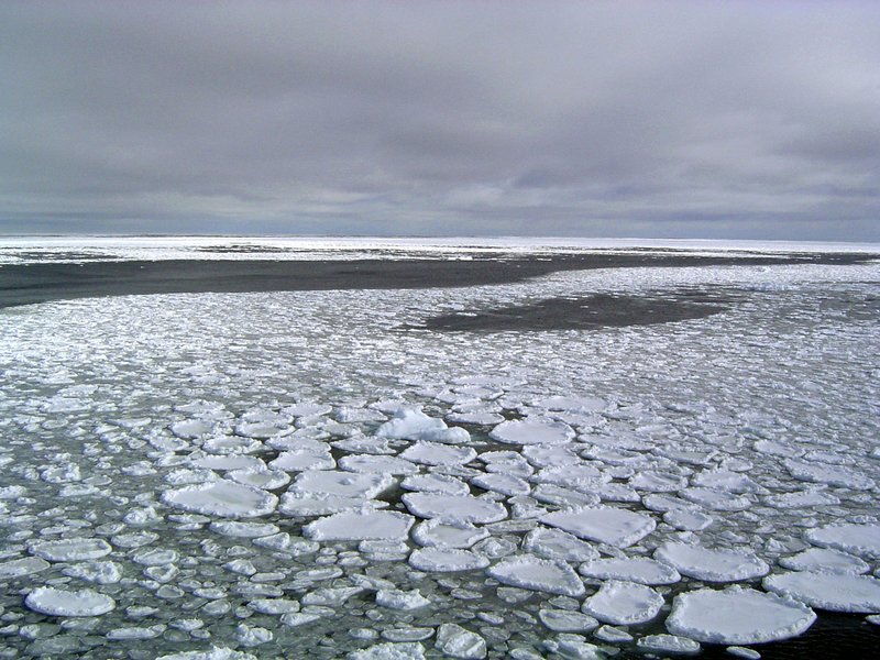 Methane leak discovered in Antarctica's seabed