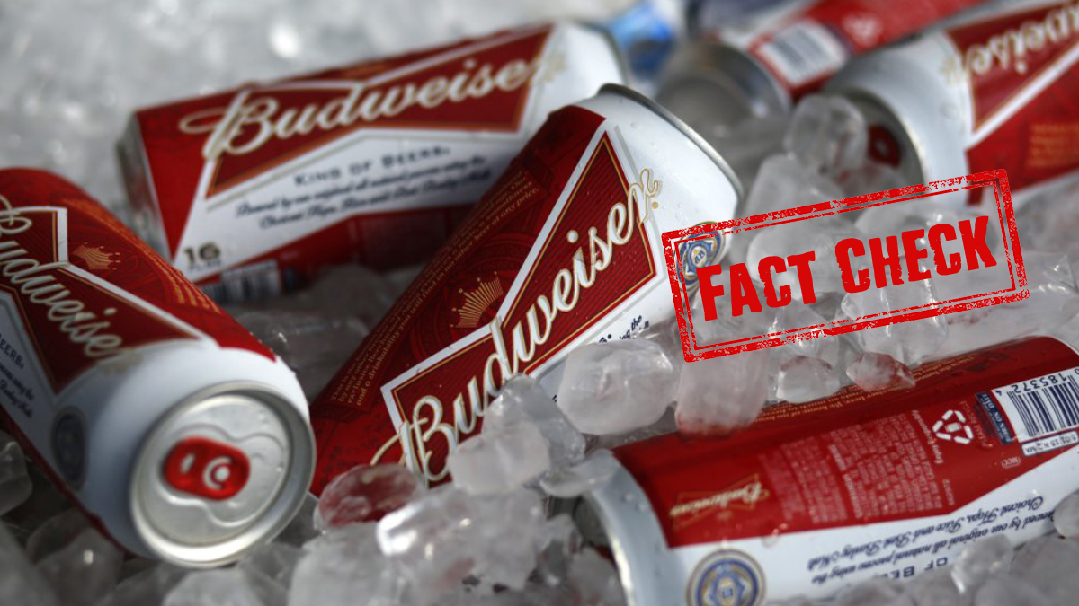 Budweiser Budvar reveals cardboard six-pack beer holders, News