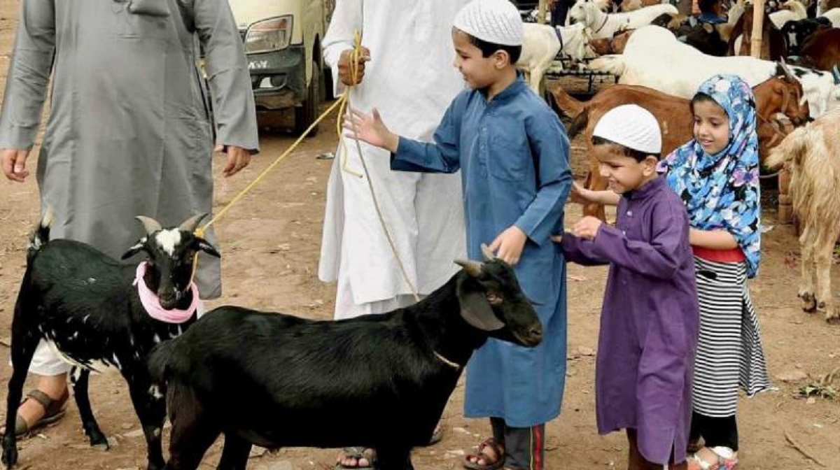 Animal sacrifice prohibited in public in Surat, Ahmedabad ahead of Eid-al- Adha | India News – India TV