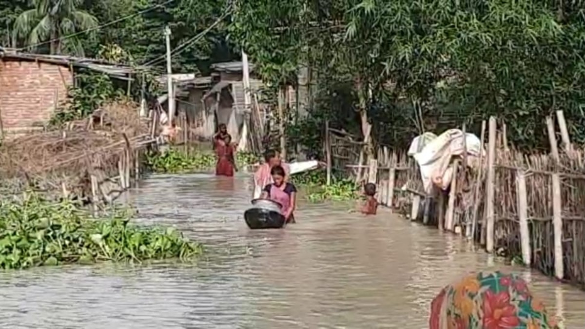 Heavy rain in Nepal causes flood-like situation in Bihar's Araria as water-level rises above danger-level