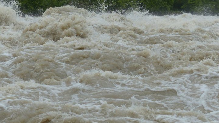 West Bengal: 55 houses swept away by Ganga in Malda district – India TV