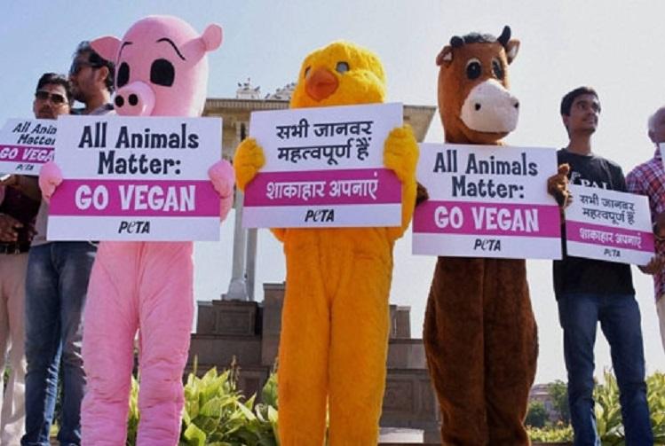 PETA moves Delhi High Court for rules to end animal cruelty | India News –  India TV