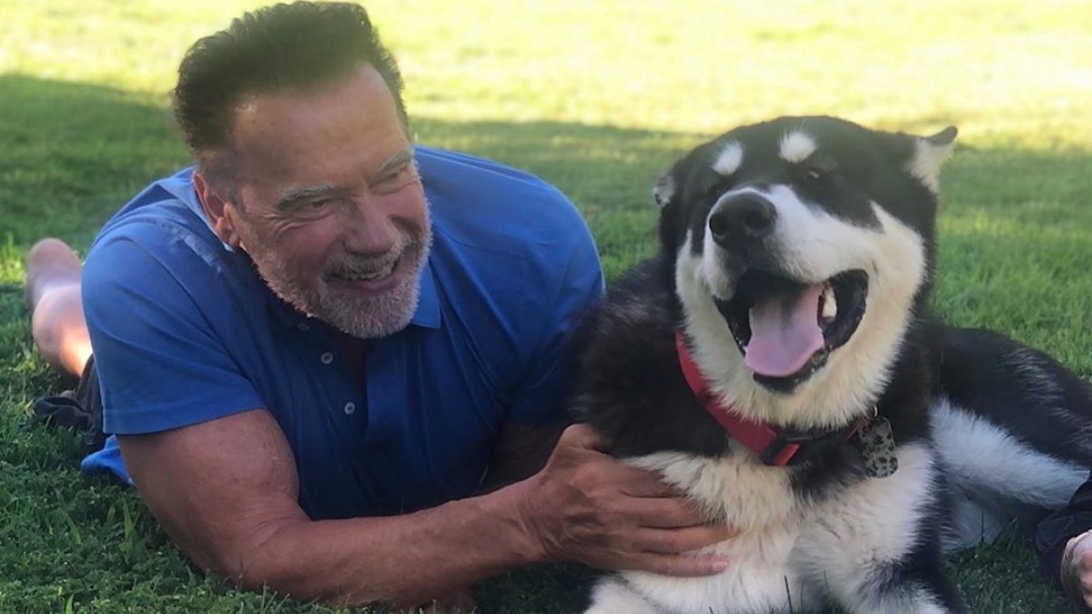 Arnold Schwarzenegger to star in spy adventure series