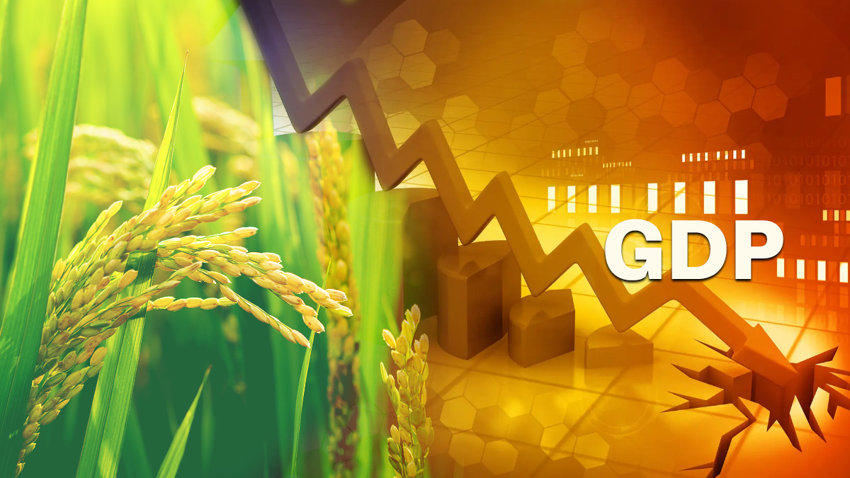 Minus 23.9 per cent: In falling GDP, Agriculture output is only positive |  Business News – India TV
