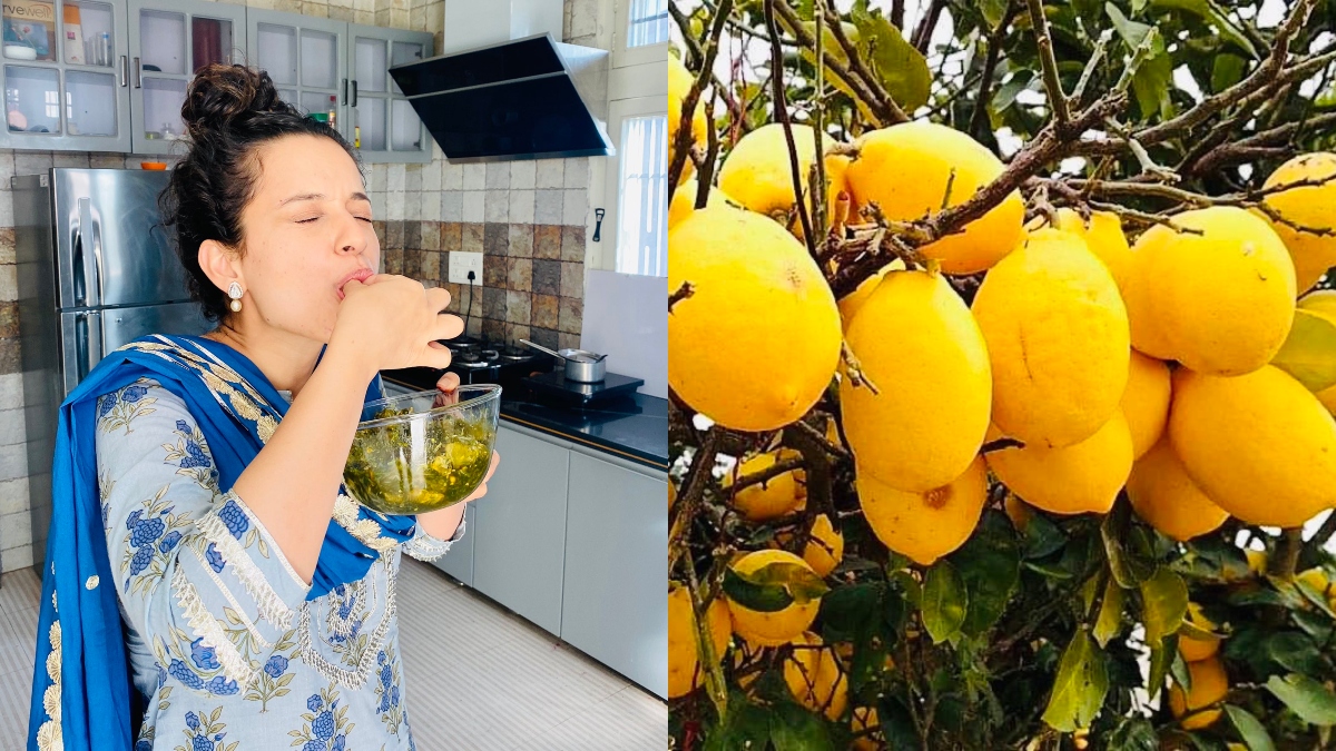 Kangana Ranaut relives her childhood memory with citron murabba: Know 5 health benefits of the fruit