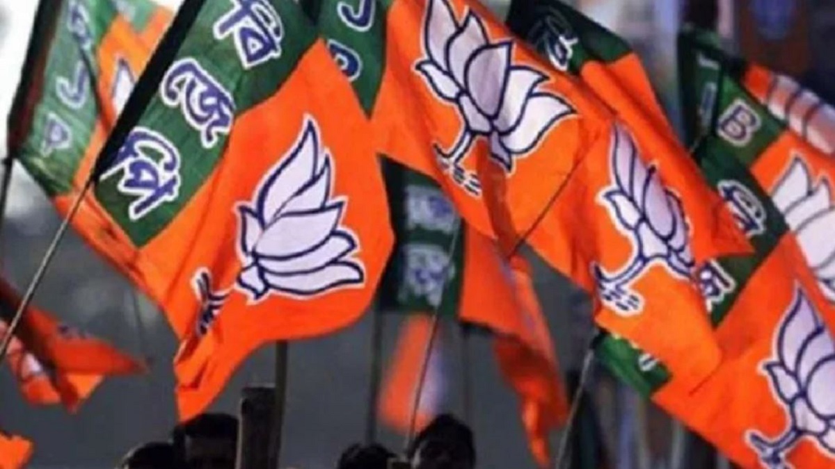 J&K DDC polls fight between 'Tricolour lovers' & 'Pakistan-China lovers': BJP