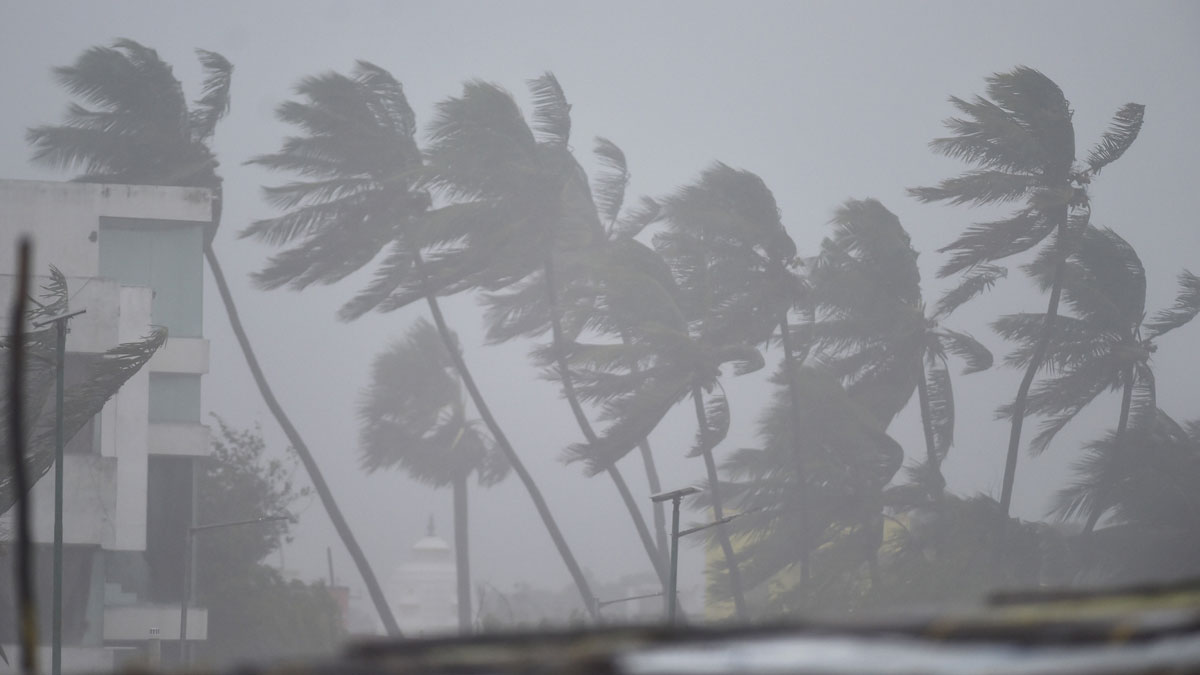 Michong will wreak havoc in Tamil Nadu today, a cyclonic storm with a speed of 110 KM per hour