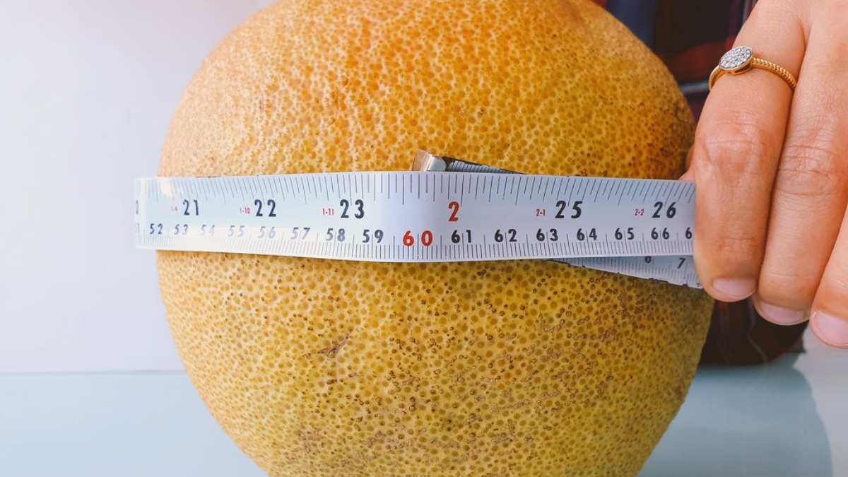 Picture of India's largest orange found in Nagpur goes viral; leaves