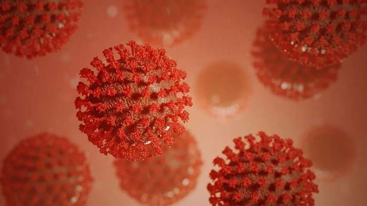 COVID-19 patients at five times higher risk of death than those with flu: Study