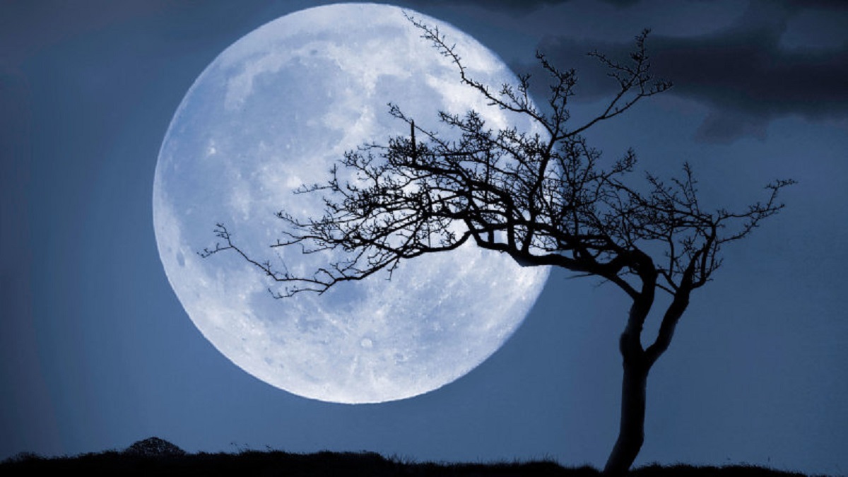 Cold moon night: Last, highest full moon of 2020 brights up skies ...