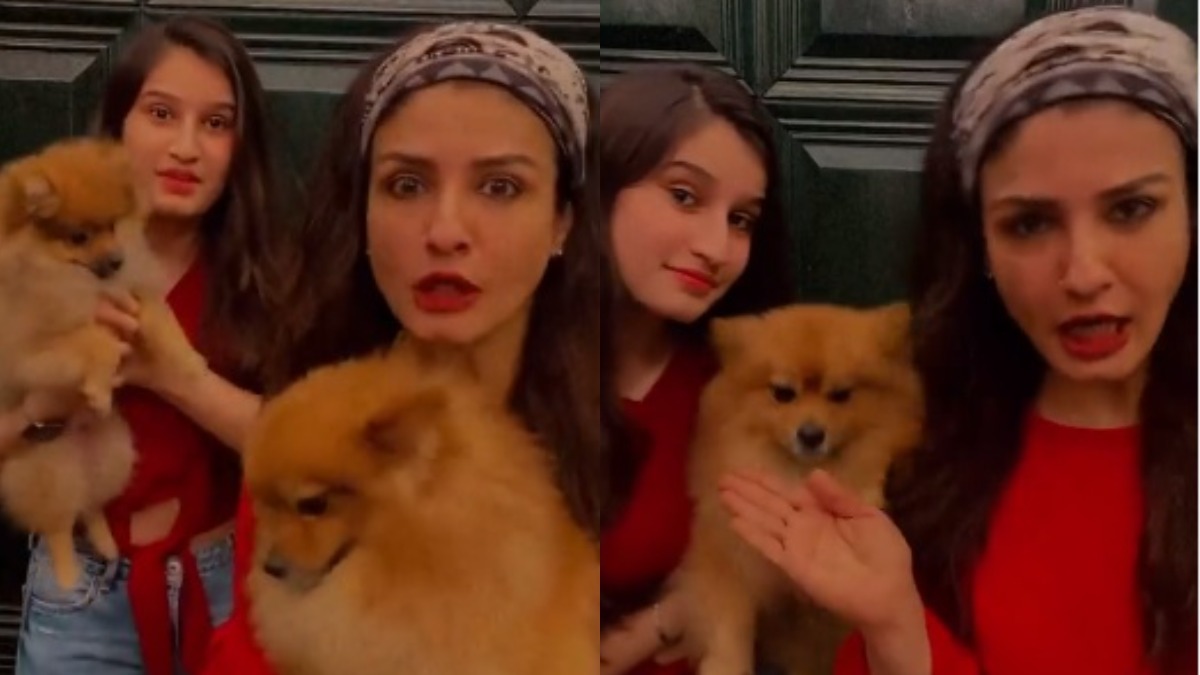 Watch Shehnaaz Gill’s ‘Tuada Kutta Tommy’ rap song funny recreation by Raveena Tandon, daughter Rasha Watch ‘Tuada Kutta Tommy’ rap song funny recreation by Raveena Tandon, daughter Rasha