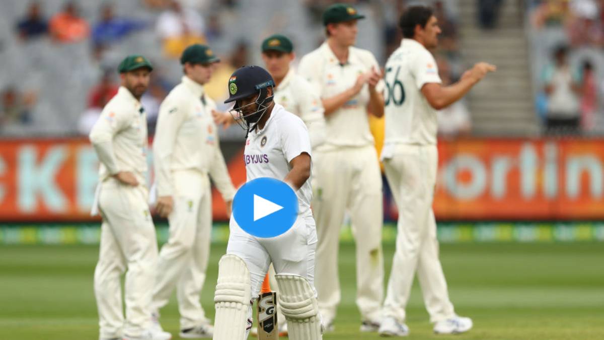 AUS vs IND 2nd Test: Watch Rishabh Pant fall on 29 to Mitchell Starc; becomes his 250th Test wicket