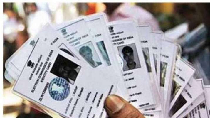 117 voter IDs found dumped in Thane's Ulhasnagar, probe on – India TV