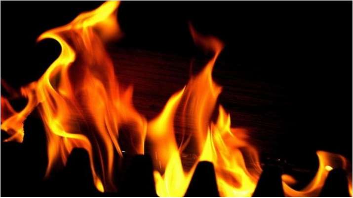 Delhi: Fire at e-commerce storehouse; woman, fireman injured