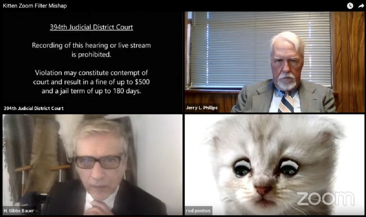 This image from a video shows a hearing from the 394th Judicial District Court of Texas. A filter that had been activated on the attorney's device obscured his appearance and made him look like a cat.