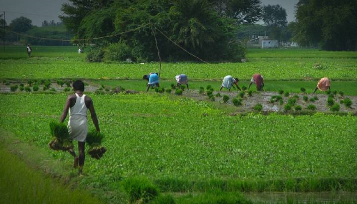 New farm laws will increase farmers' profits: ICAR Dy Director General