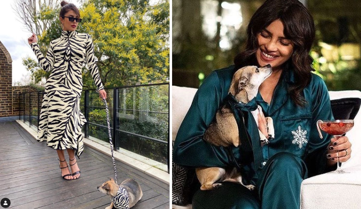 Priyanka Chopra sets twinning goals with her dog Diana: 'A white tiger and her cub'