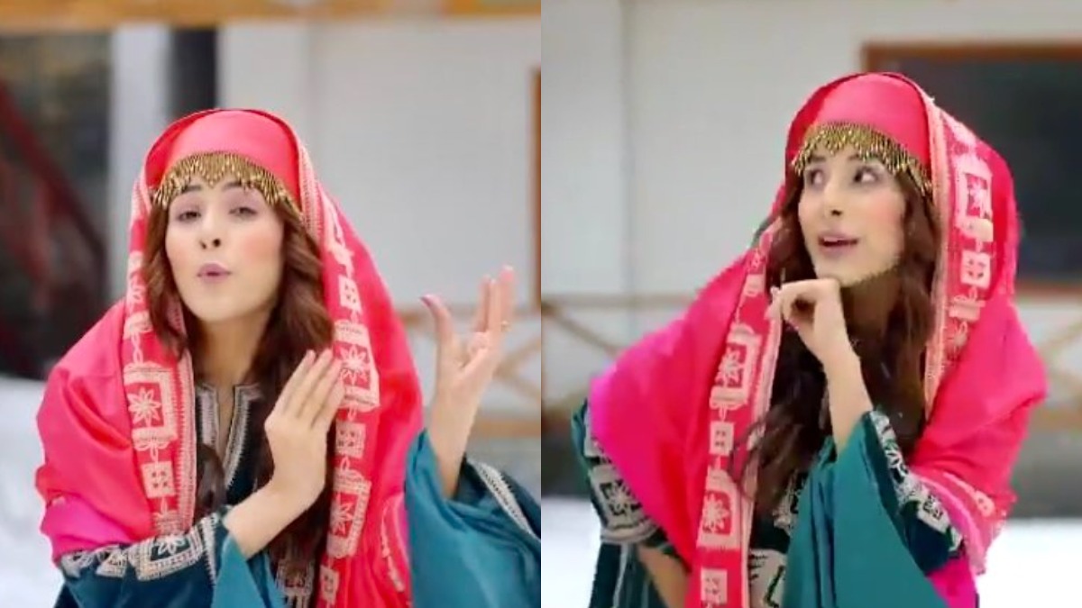 VIDEO: Shehnaaz Gill dances on Preity Zinta-Hrithik Roshan's song 'Bumbro' in Kashmir &amp; leaves fans mesmerized