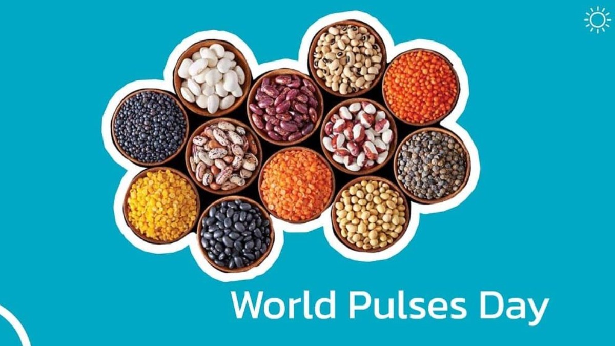 World Pulses Day: Know the benefits of adding protein-rich dals to your diet