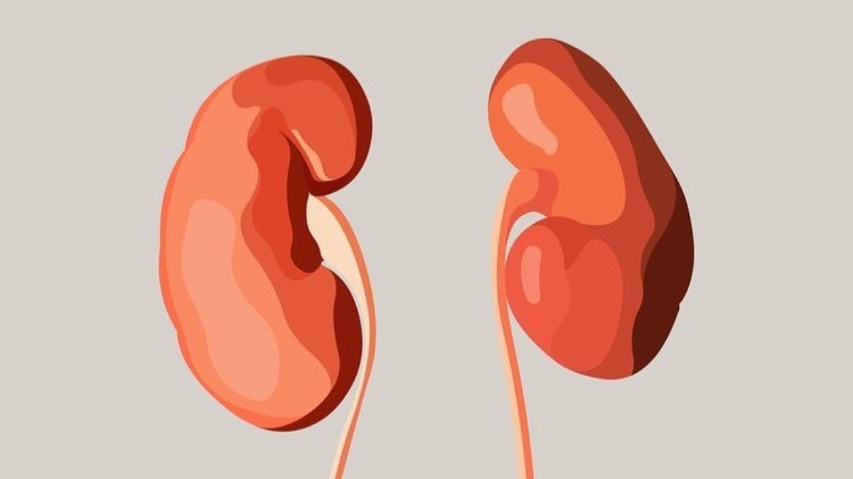 30 increase in weightgain linked kidney ailments since lockdown