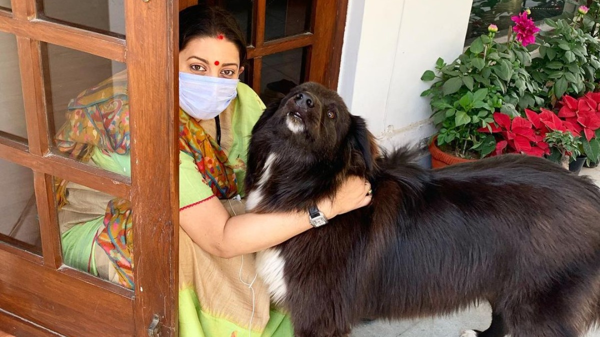 Smriti Irani gives hilarious twist to Shehnaaz Gill's 'Twadda Kutta Tommy,' shares adorable pic with pet