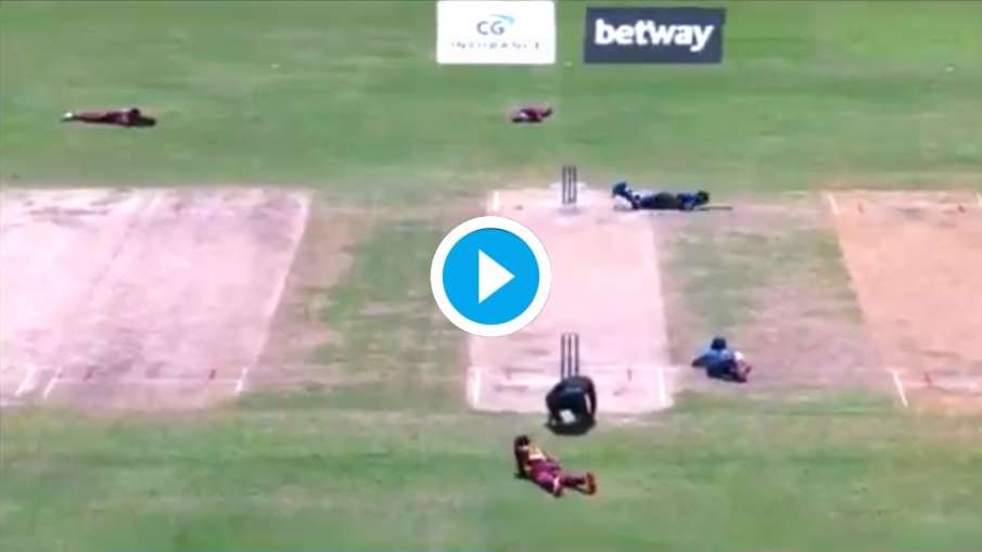 Watch Bees Attack Halts Play Briefly During West Indies Vs Sri Lanka 3rd Odi Cricket News India Tv