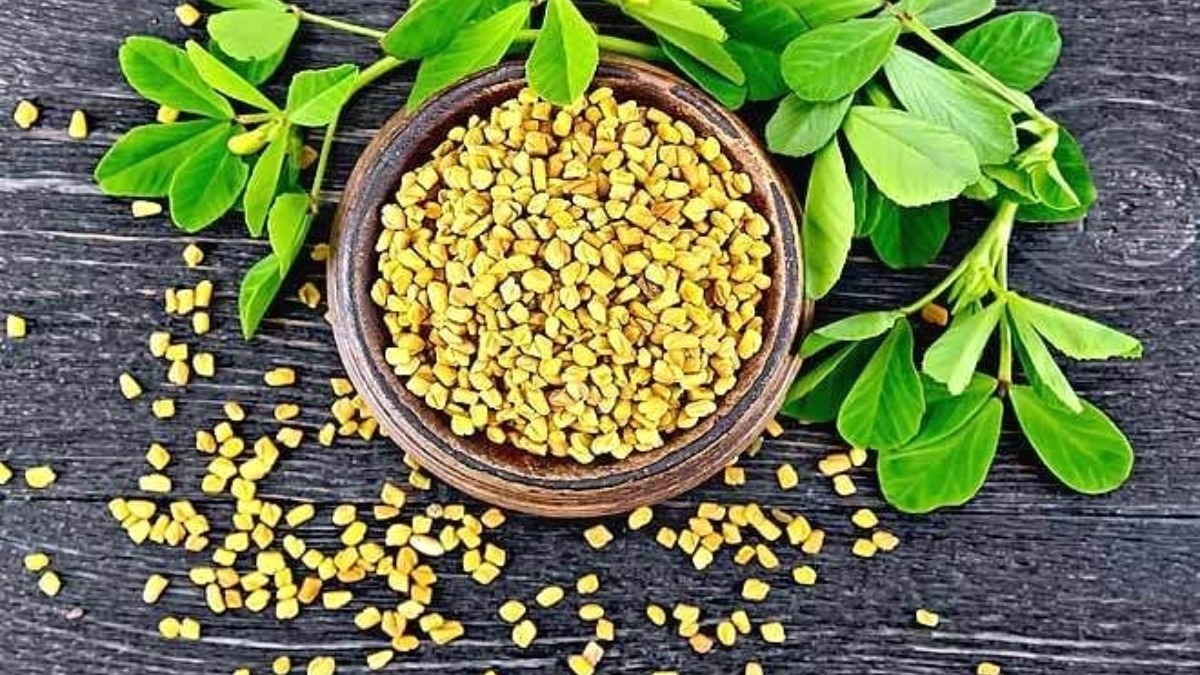 Methi Dana for diabetes | Know health benefits of fenugreek seeds to  control blood-sugar level | Methi News – India TV