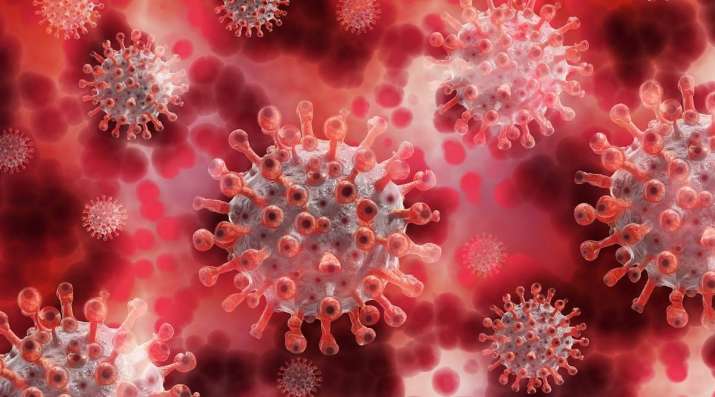 COVID19: Antibody from common cold reacts to infection, says researchers