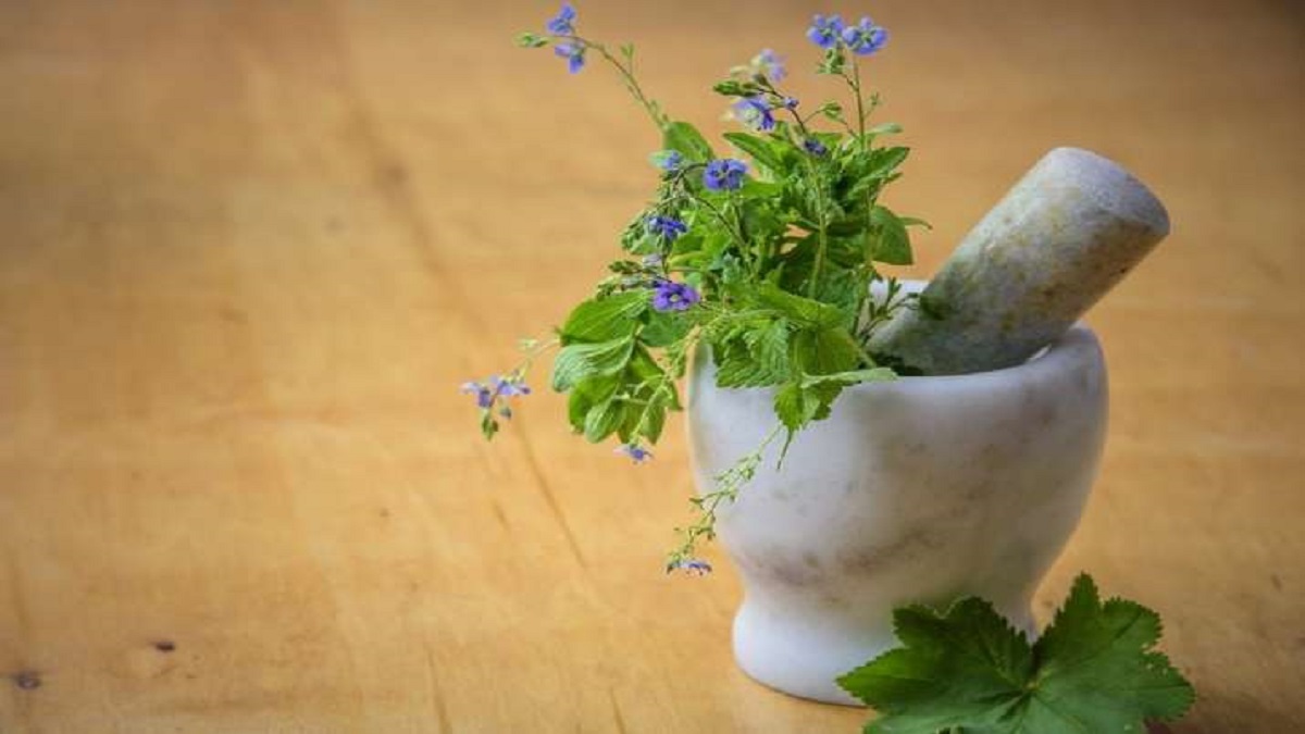 Herbal cure for Covid? First phase of study completed in Andhra Pradesh