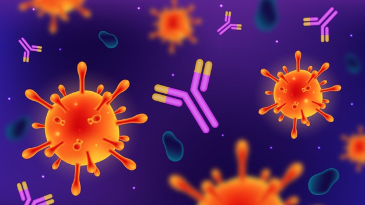What are antibodies and antibody tests? Does a negative antibody test mean the vaccine isn't working? | What News – India TV