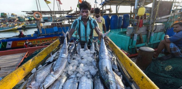 Fishermen suffering due to non-implementation of govt policies properly: Gujarat Fisheries Minister