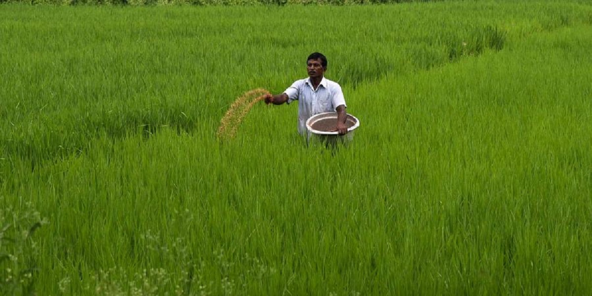 Second COVID-19 wave not to impact India's agri sector in any way: Niti Aayog