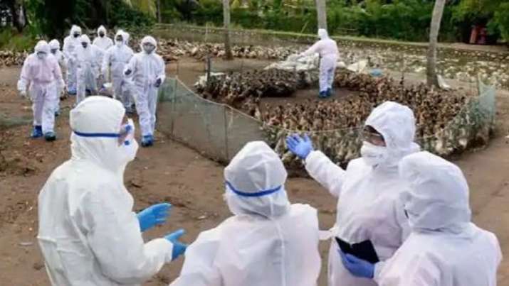 China reports first human case of H10N3 bird flu