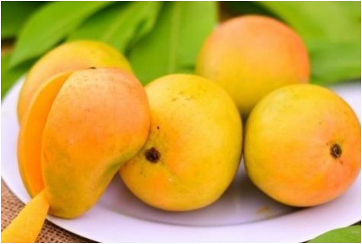 Alphonso, Alphonso <b>mangoes</b>, Alphonso <b>mangoes</b> available on EMIs, Alphonso <b>ma...</b>