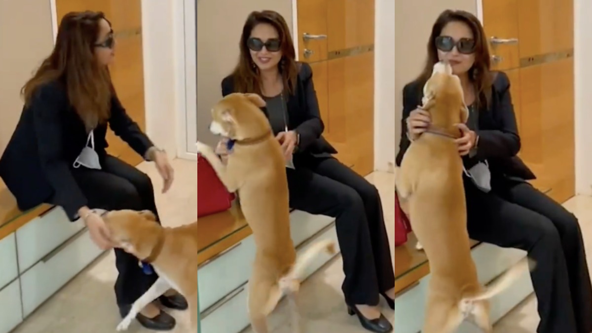 Madhuri Dixit's pawdorable video playing with her doggo is the best thing on internet today | WATCH