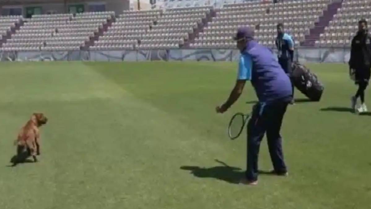 WTC Final | Watch: Head coach Ravi Shastri gives 'fielding classes' to Southampton curator's dog