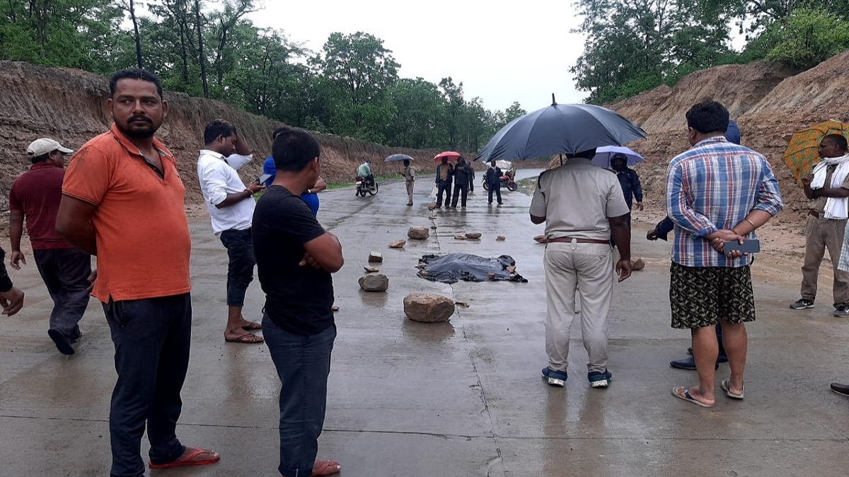 Tiger cub killed after being hit by vehicle while crossing highway in MP's Umaria