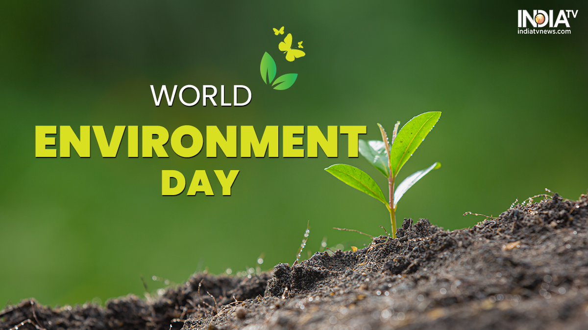 World Environment Day 21 History Importance And Why It Is Celebrated World News India Tv