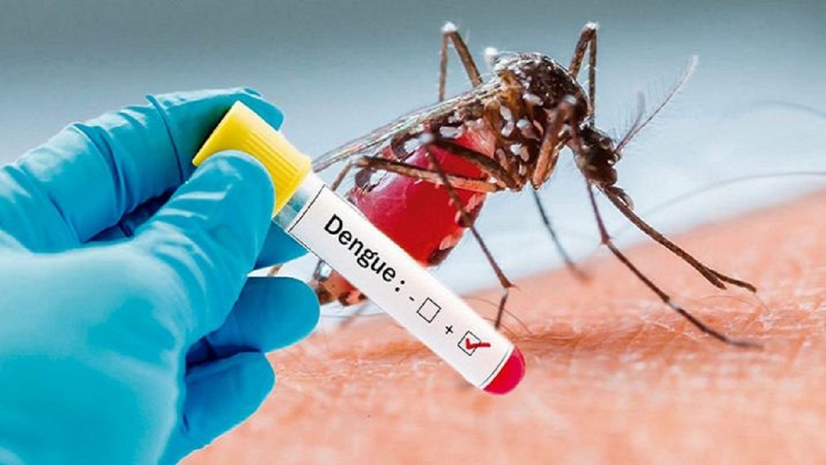 40 cases of dengue in Delhi this year so far | India News – India TV