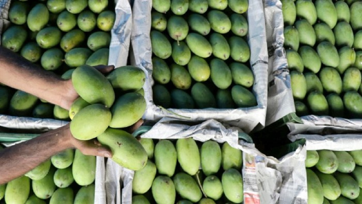 In a first, Mangoes, black rice from Varanasi make it to global markets despite COVID-19