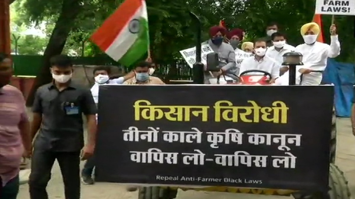 Rahul Gandhi drives tractor to Parliament in support of farmers protesting against farm laws