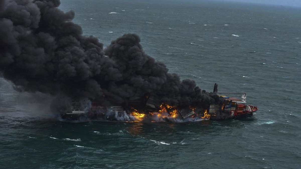 176 turtles, 20 dolphins dead after cargo ship fire in Sri Lanka.