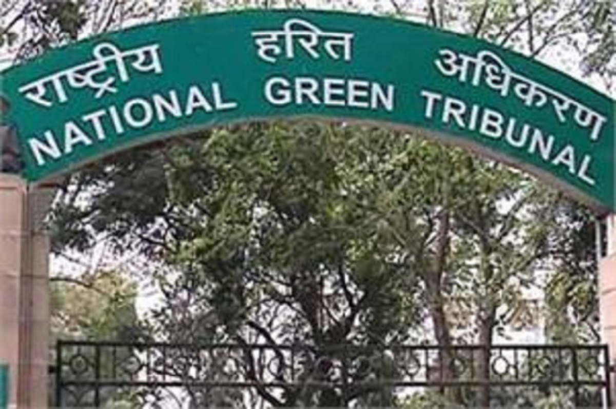 NGT directs DPCC to stop polluting activities at Ghazipur Murga Mandi