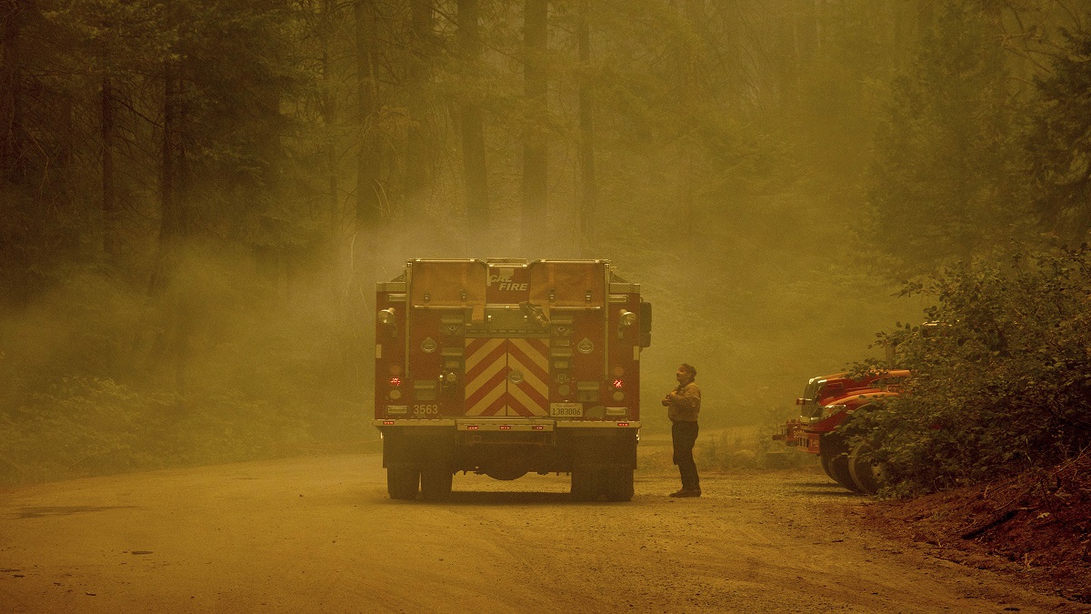 National forests closed as California wildfires surge