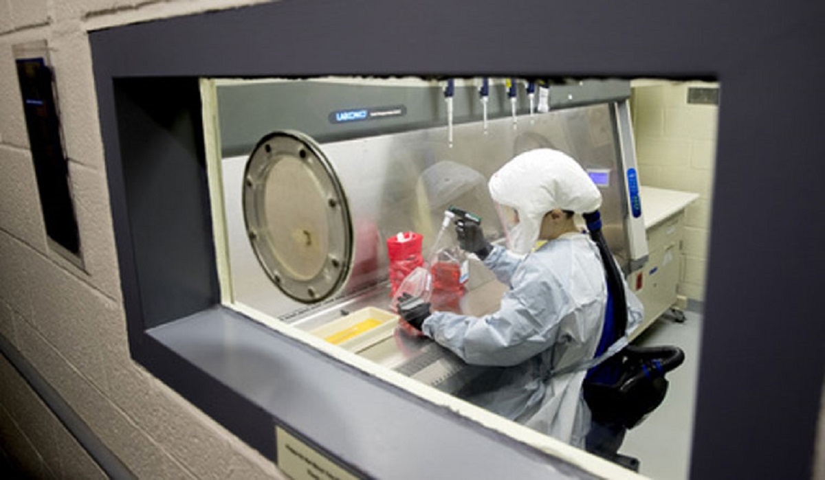 COVID-19 lab leak theory unlikely: Report