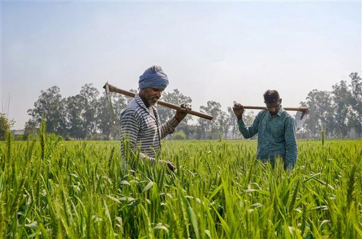 Maharashtra: Over 7 lakh farmers call insurance firms to inform about ...